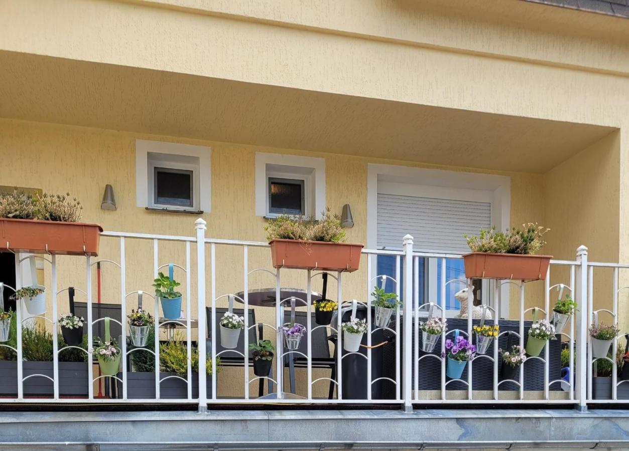 Pension Relax U Komina Františkovy Lázně 외부 사진